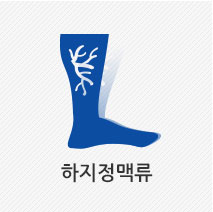 하지정맥류