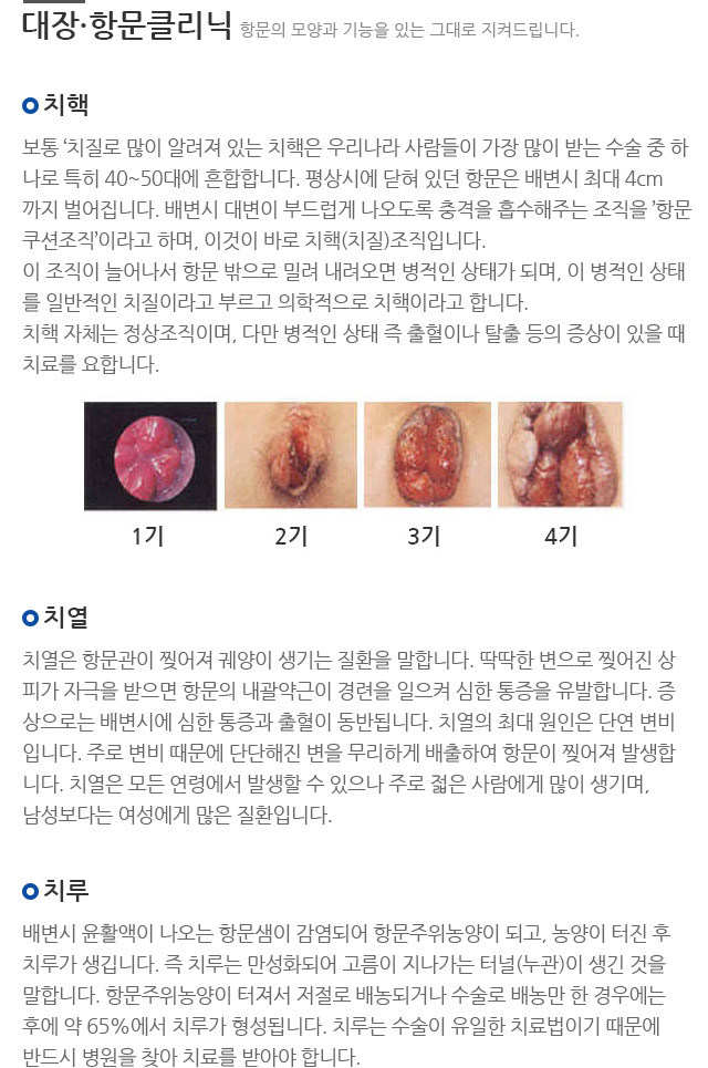 대장/항문클리닉. 항문의 모양과 기능을 있는 그대로 지켜드립니다.